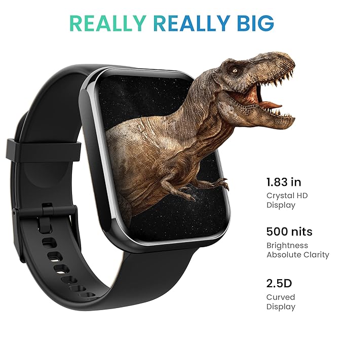 Tagg Verve Max Ii 1.83? Biggest Display